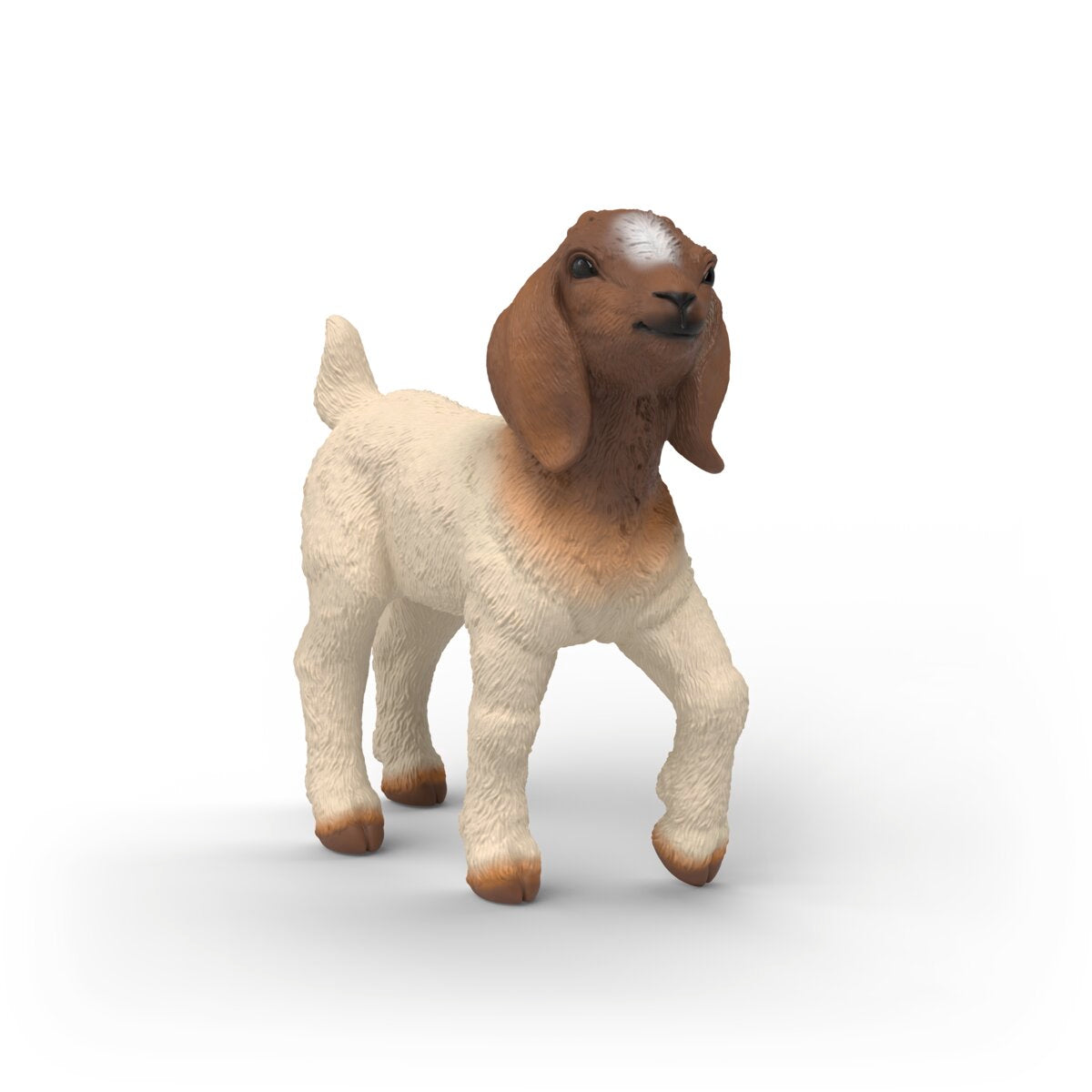 Energetic Boer Goat Kid