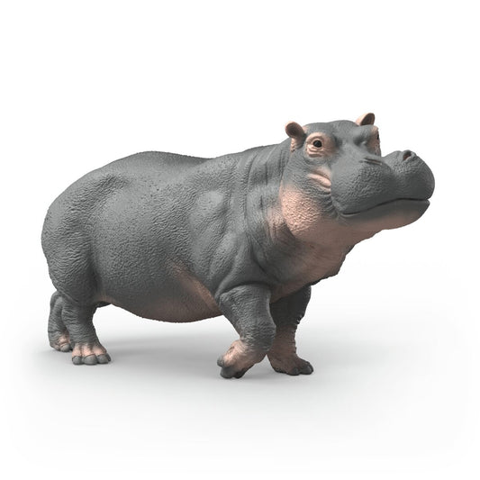 Hippopotame