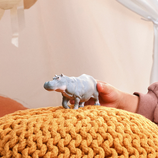 Hippopotame