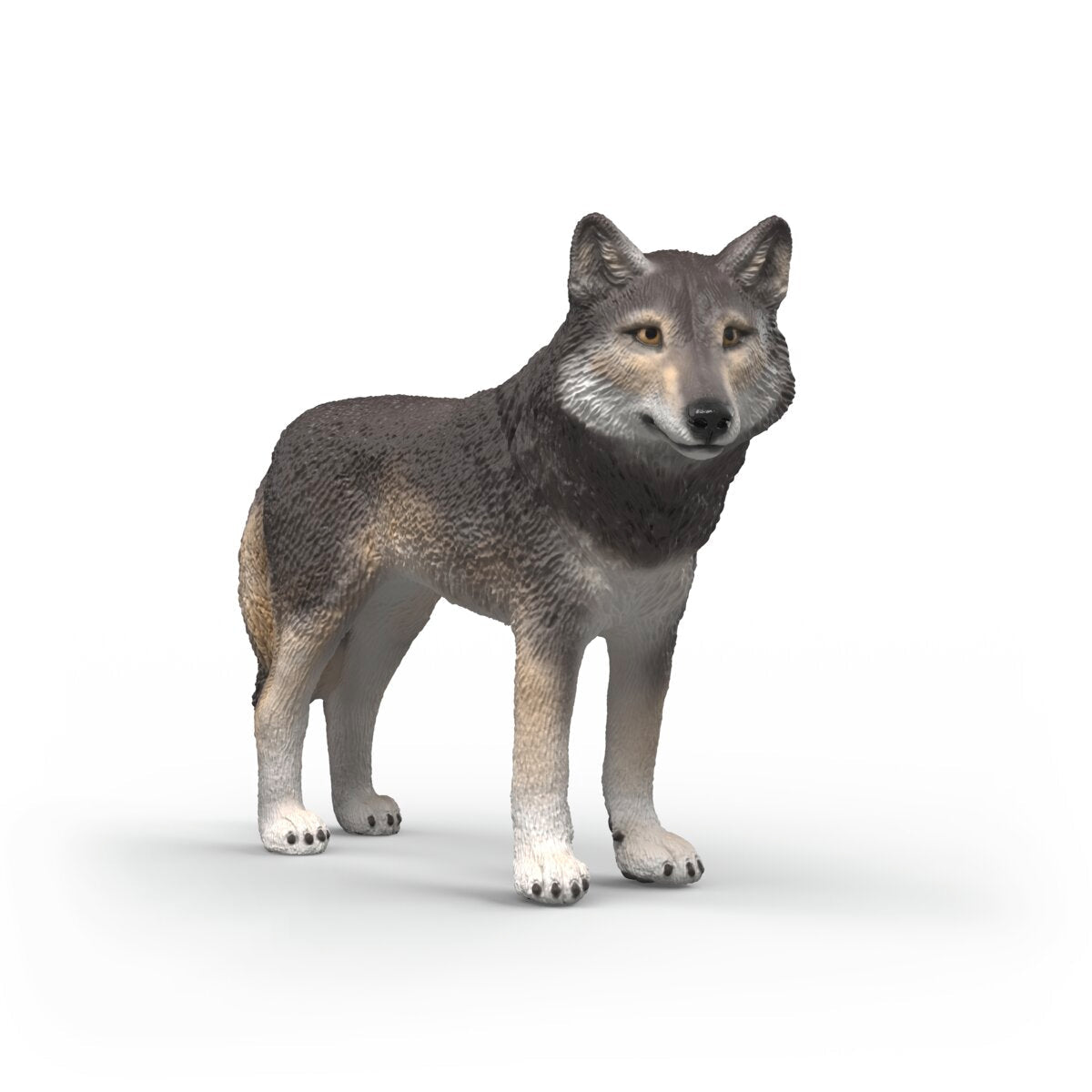 Loup américain appelant sa meute
