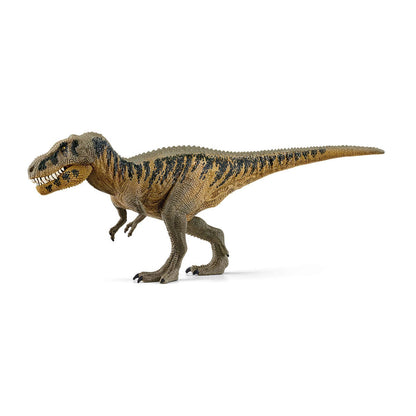 Tarbosaure