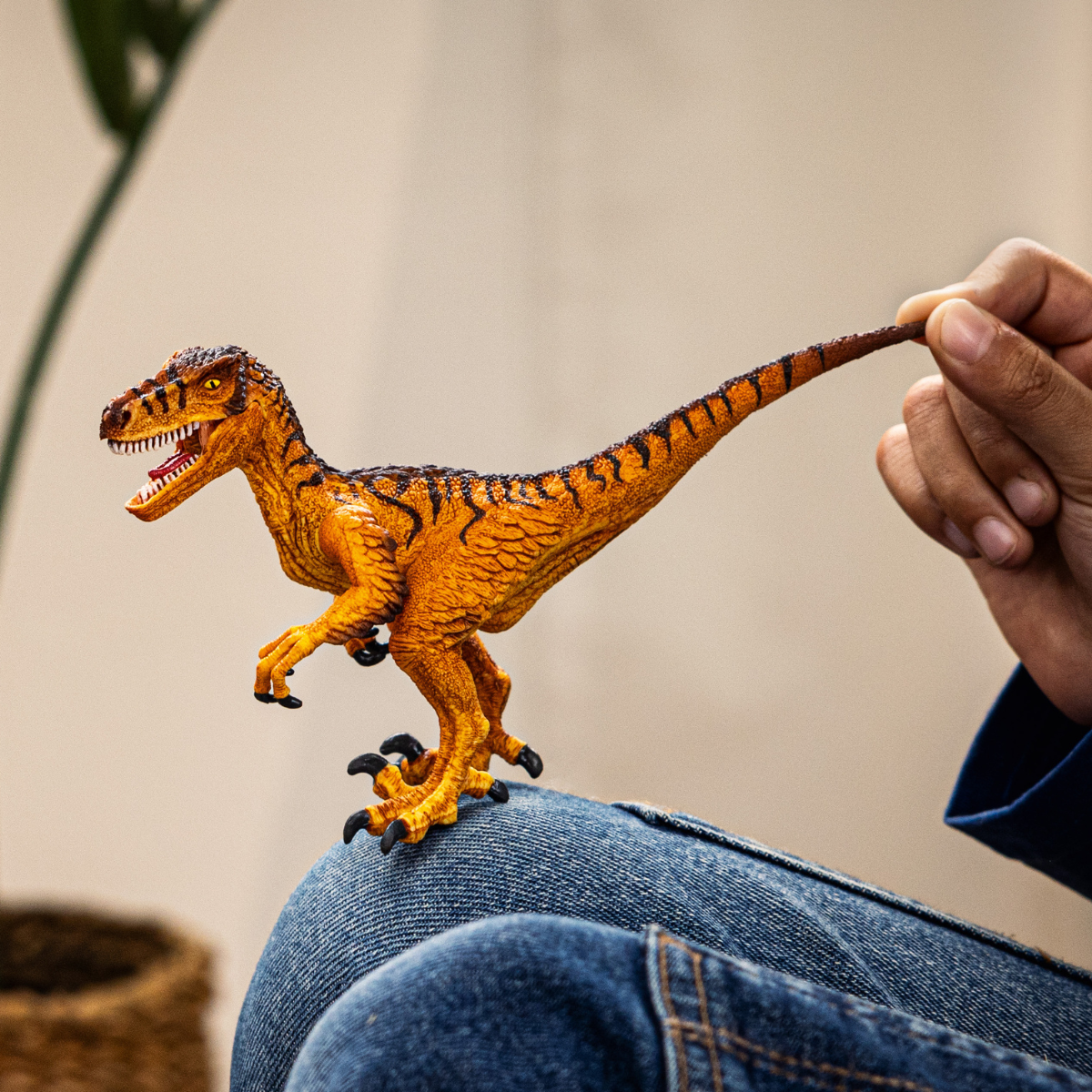 Vélociraptor