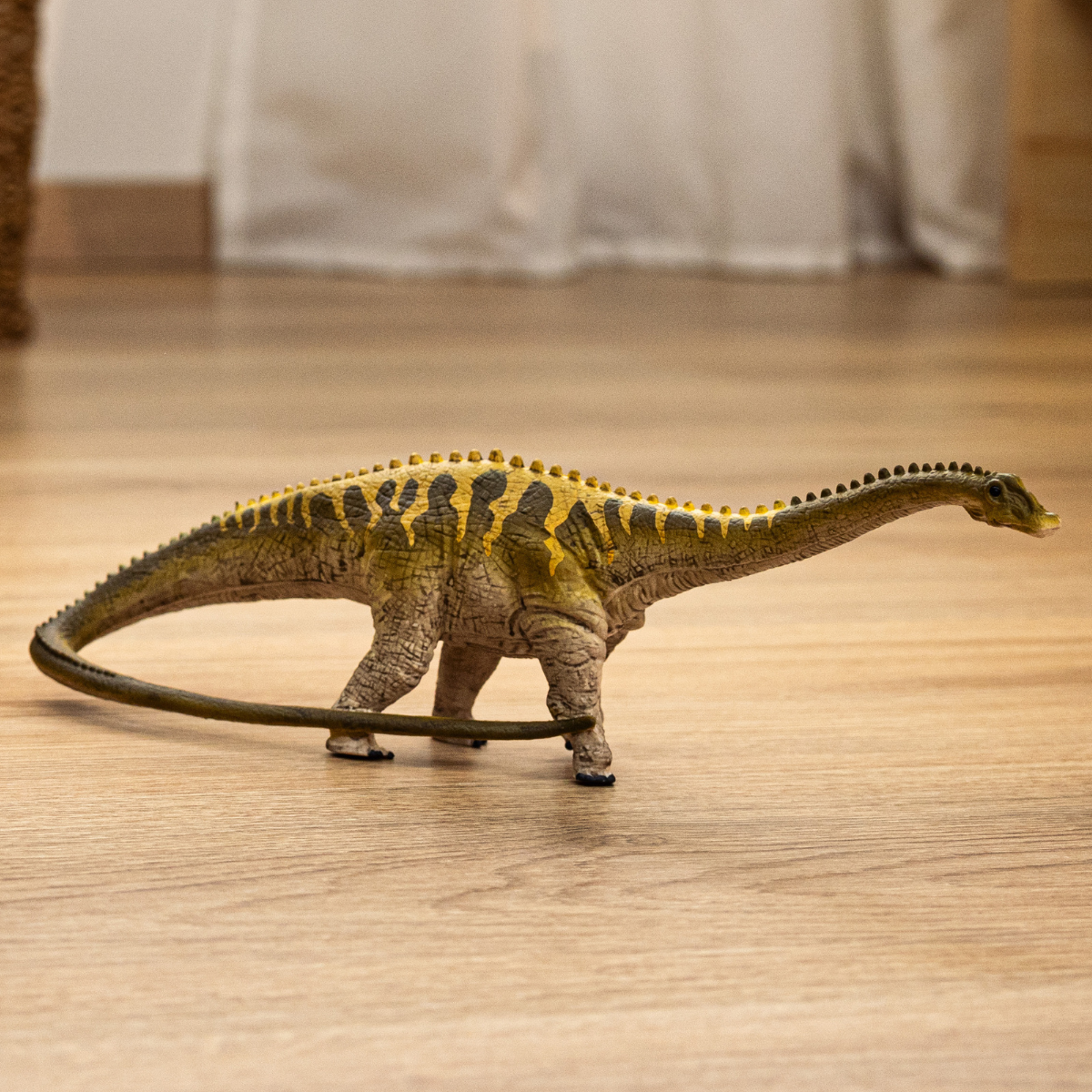 Diplodocus of the Prehistoric World