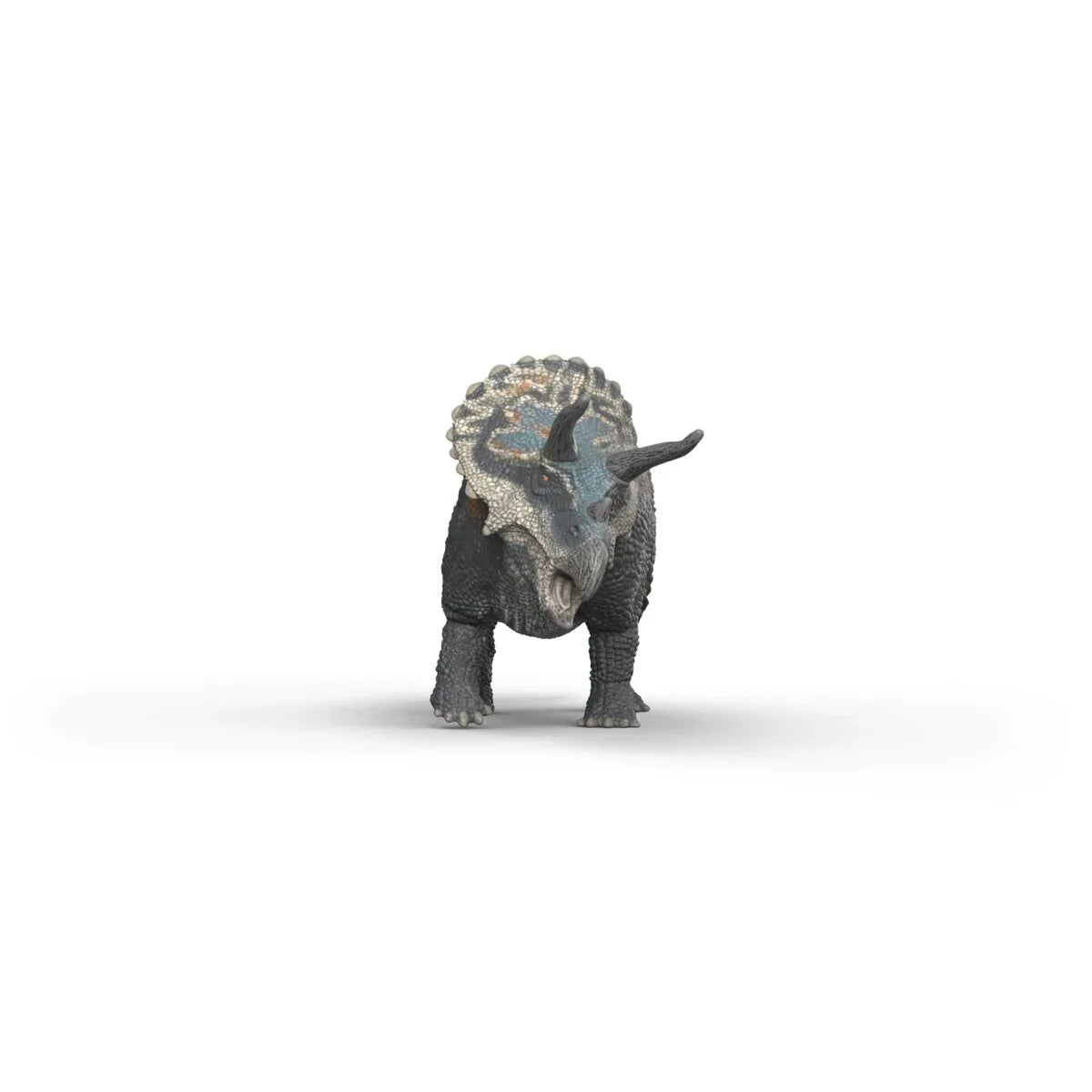 Triceratops