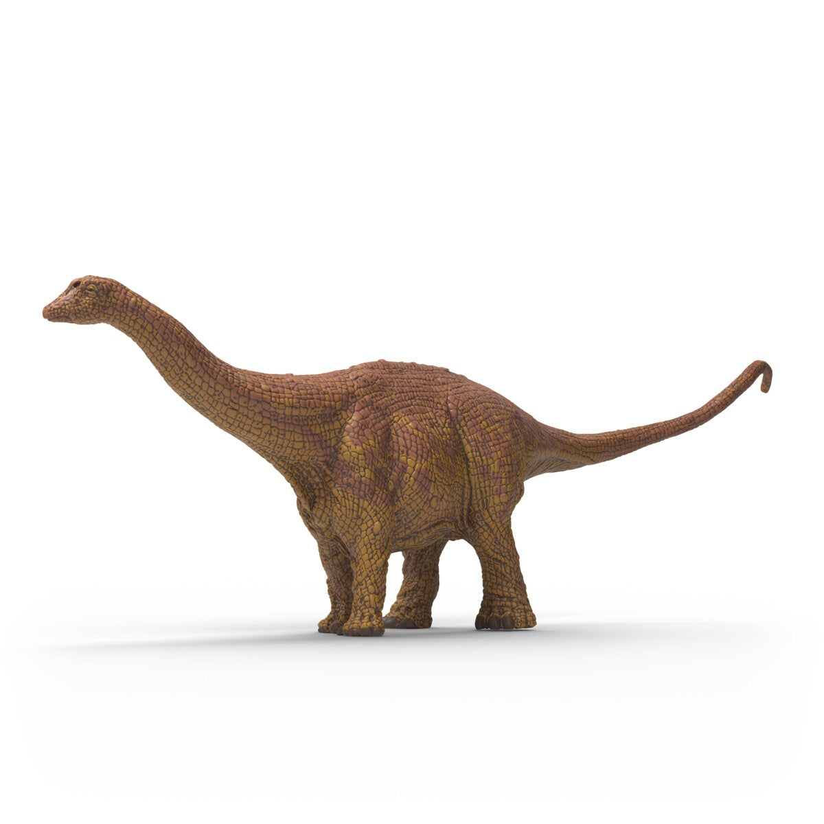 Peaceful Plant-Eating Brontosaurus