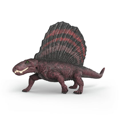 Dimetrodon, Powerful Prehistoric Carnivore