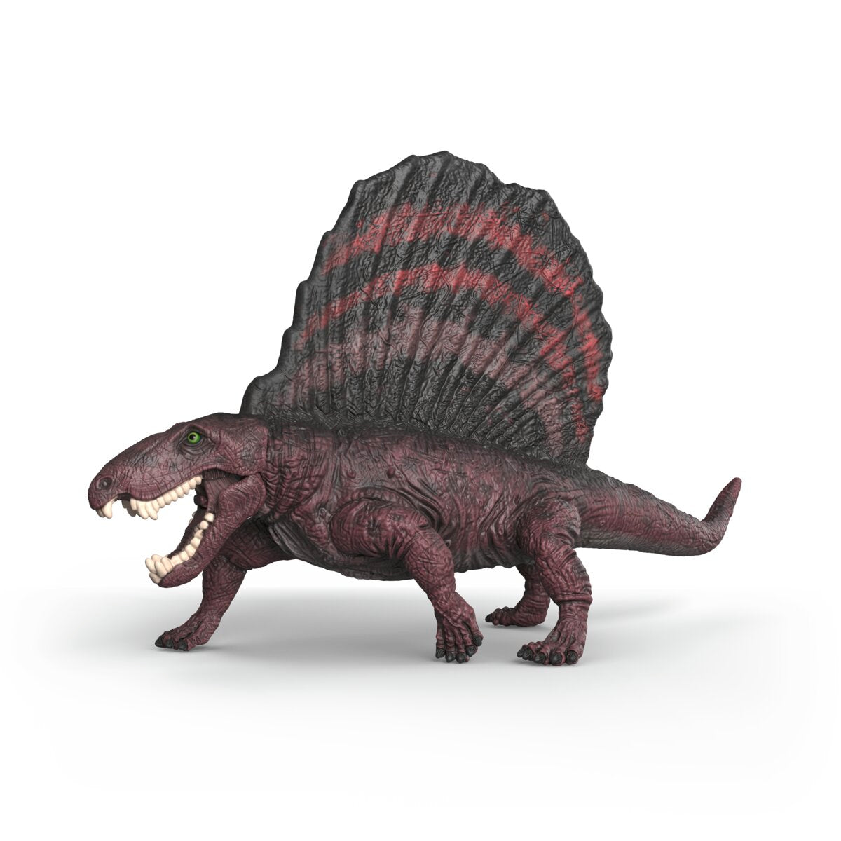 Dimetrodon, Powerful Prehistoric Carnivore