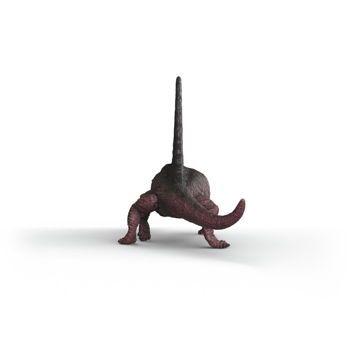 Dimetrodon, Powerful Prehistoric Carnivore