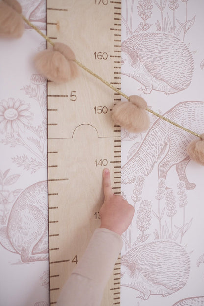 GIANT RULER