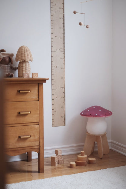 GIANT RULER