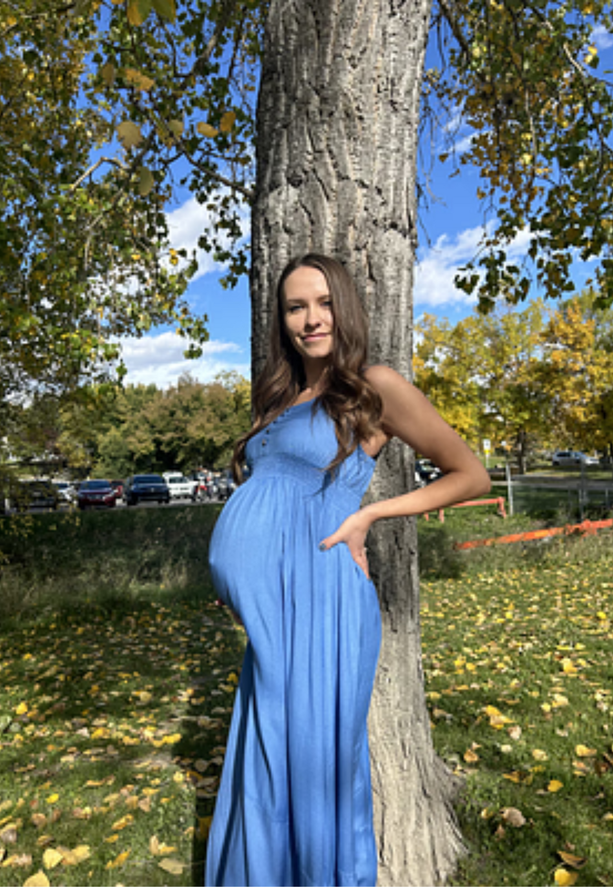 Bamboo Empire-Waist Maternity Dress