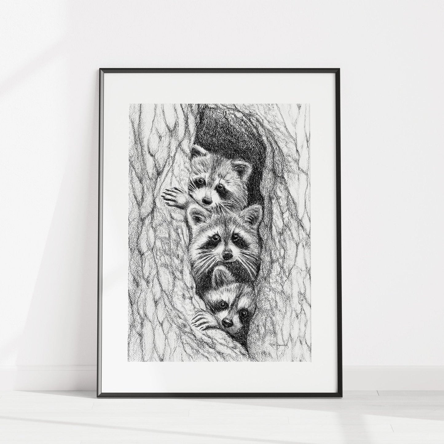 3 Ratons laveurs dans un arbre - impression d'art animalier