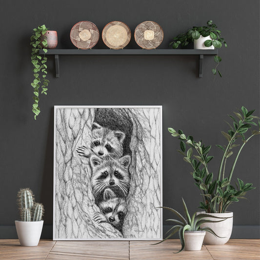 3 Ratons laveurs dans un arbre - impression d'art animalier