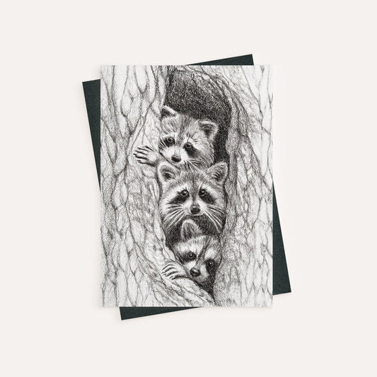 3 ratons laveurs dans un arbre - carte de vœux