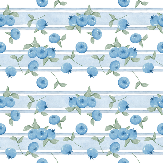 Minky Blanket - Blueberry 🫐 (Small)