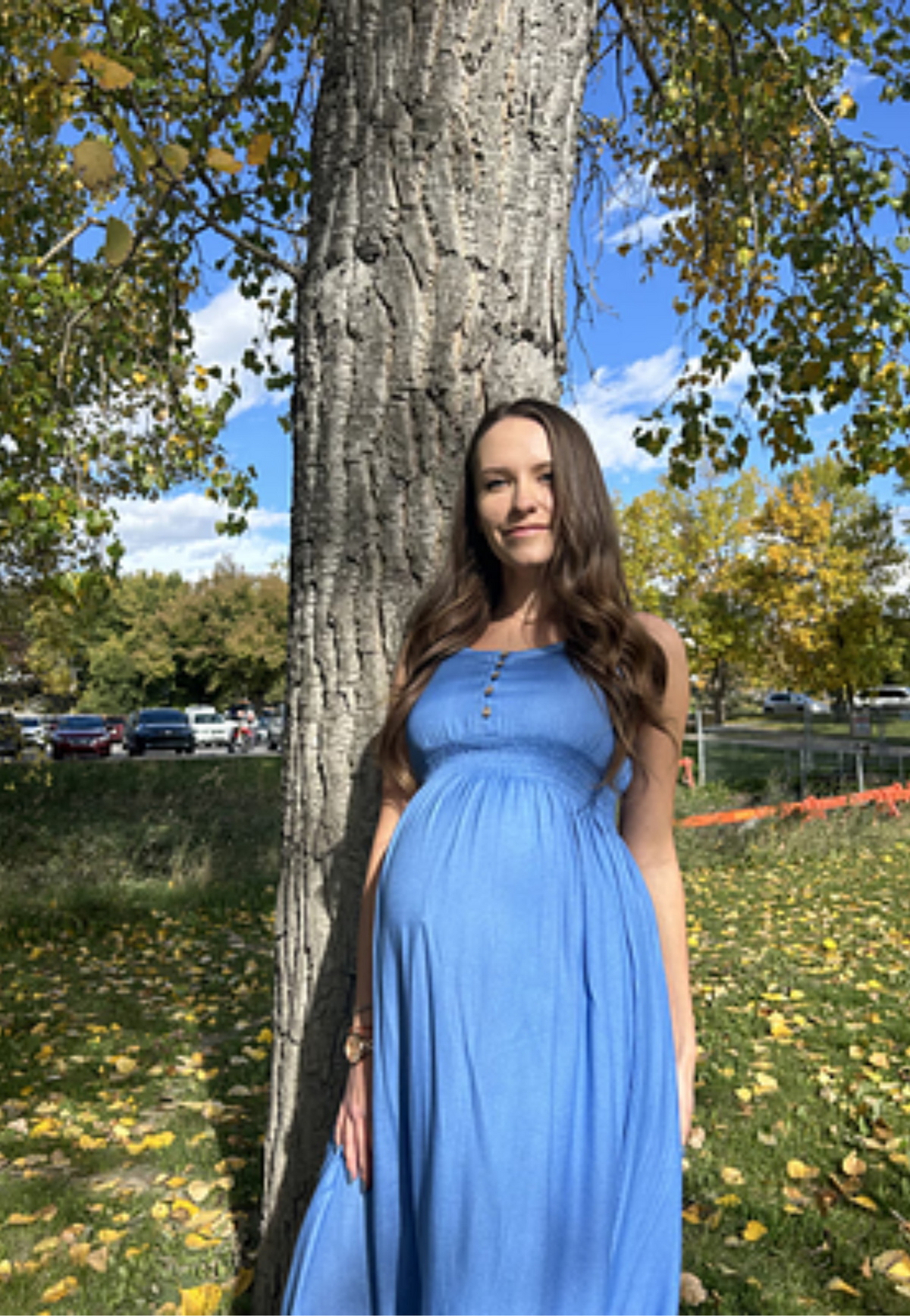 Bamboo Empire-Waist Maternity Dress