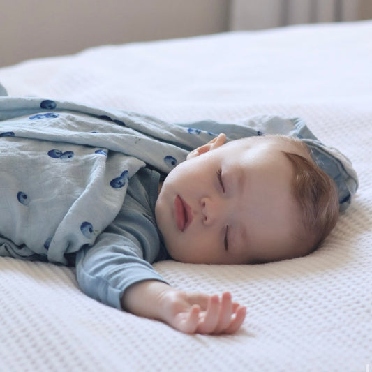 Bamboo & Cotton Muslin - Blueberries