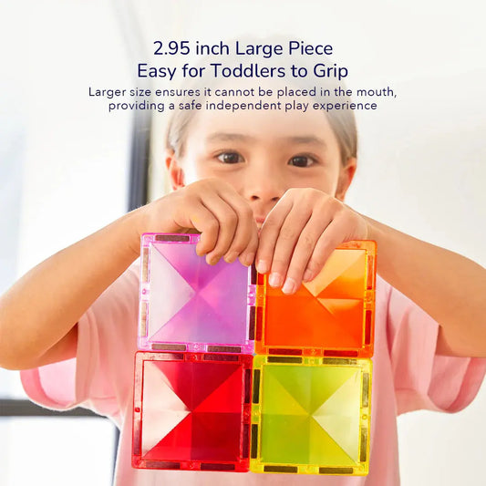 Distinctive Magnetic Tiles 100P
