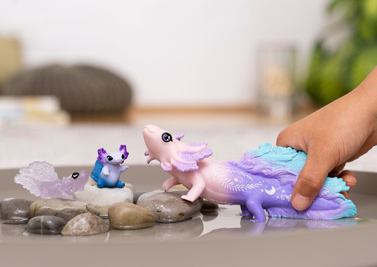 Kit de découverte Axolotl