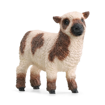 Sheep Friends