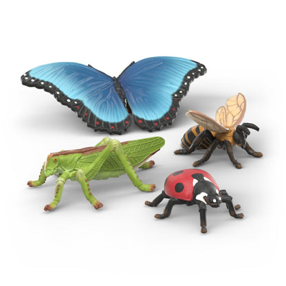 Ensemble découverte de quatre insectes