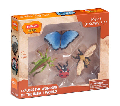 Ensemble découverte de quatre insectes