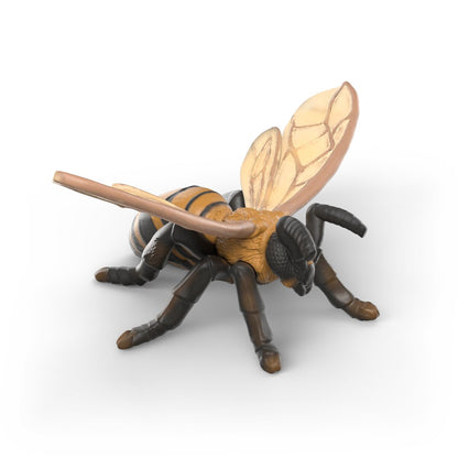 Ensemble découverte de quatre insectes