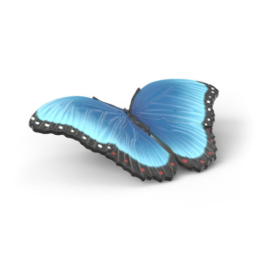 Insects discovery set