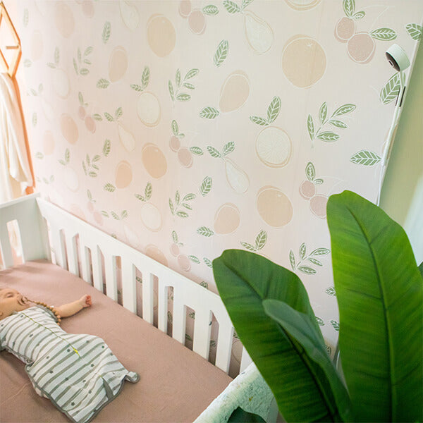 Viyü: Wifi Baby Monitor || Viyü: Caméra de surveillance pour bébé
