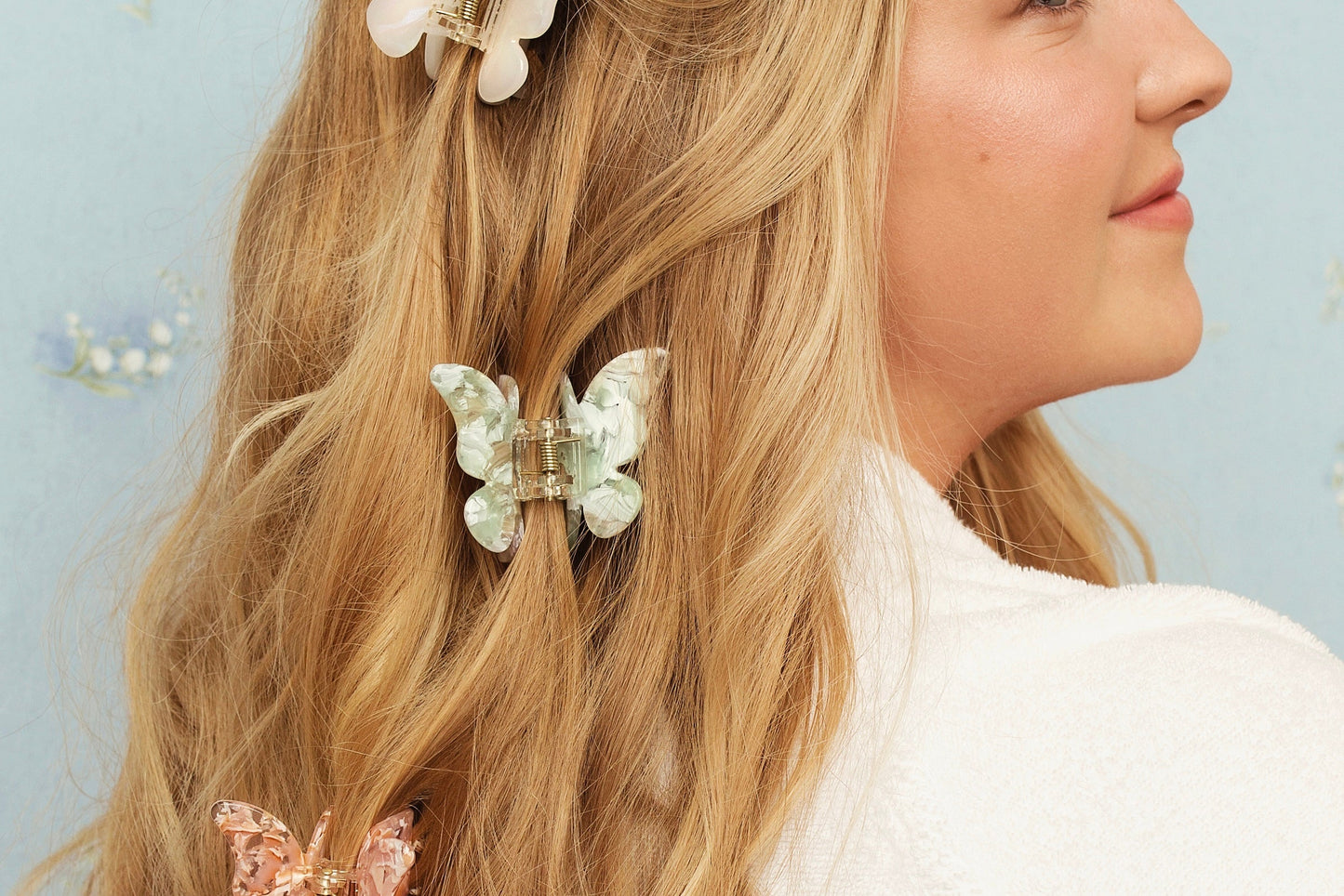 La collection de papillons