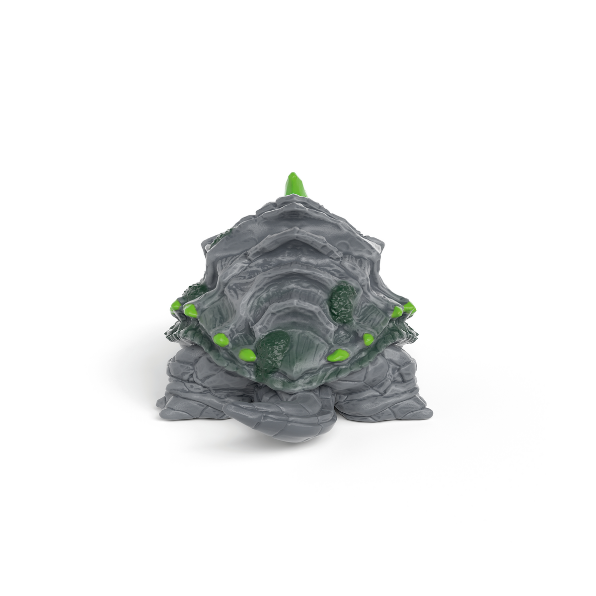 Tortue de pierre