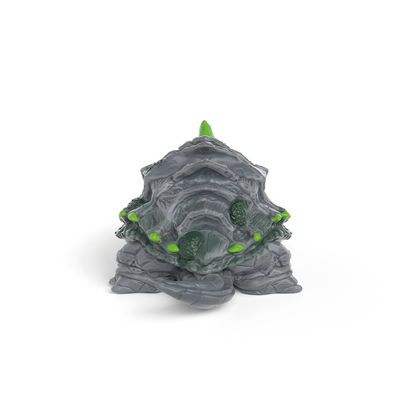 Tortue de pierre
