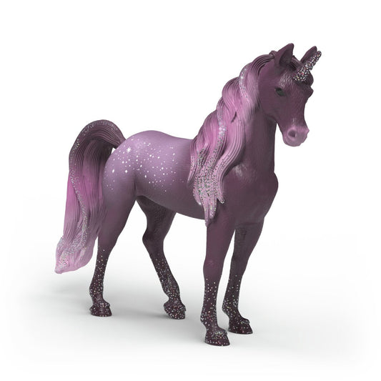 Jument Licorne Arc-en-ciel Galaxie