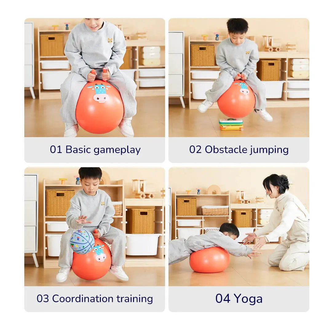 Sensory Training Bounce Ball: Goofy Horse