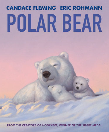 Ours polaire
