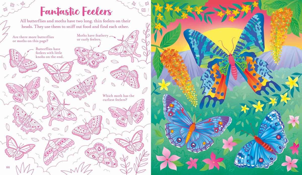 Usborne Scratch Activities: Butterflies