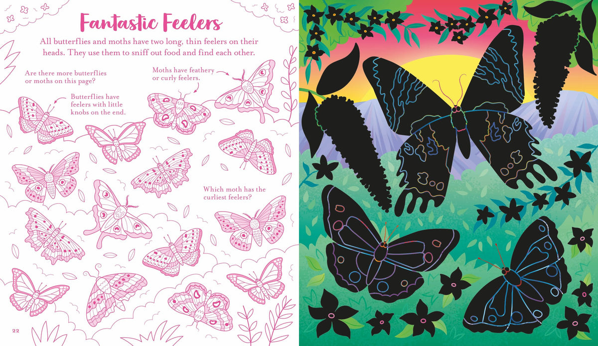 Usborne Scratch Activities: Butterflies