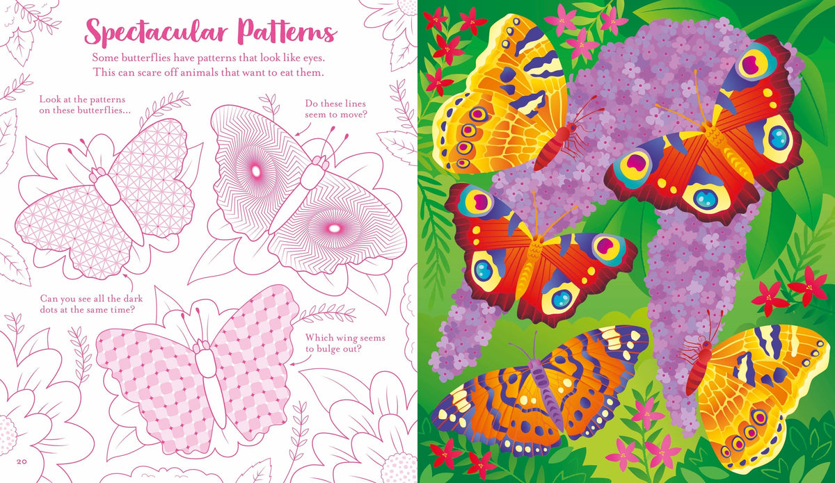 Usborne Scratch Activities: Butterflies