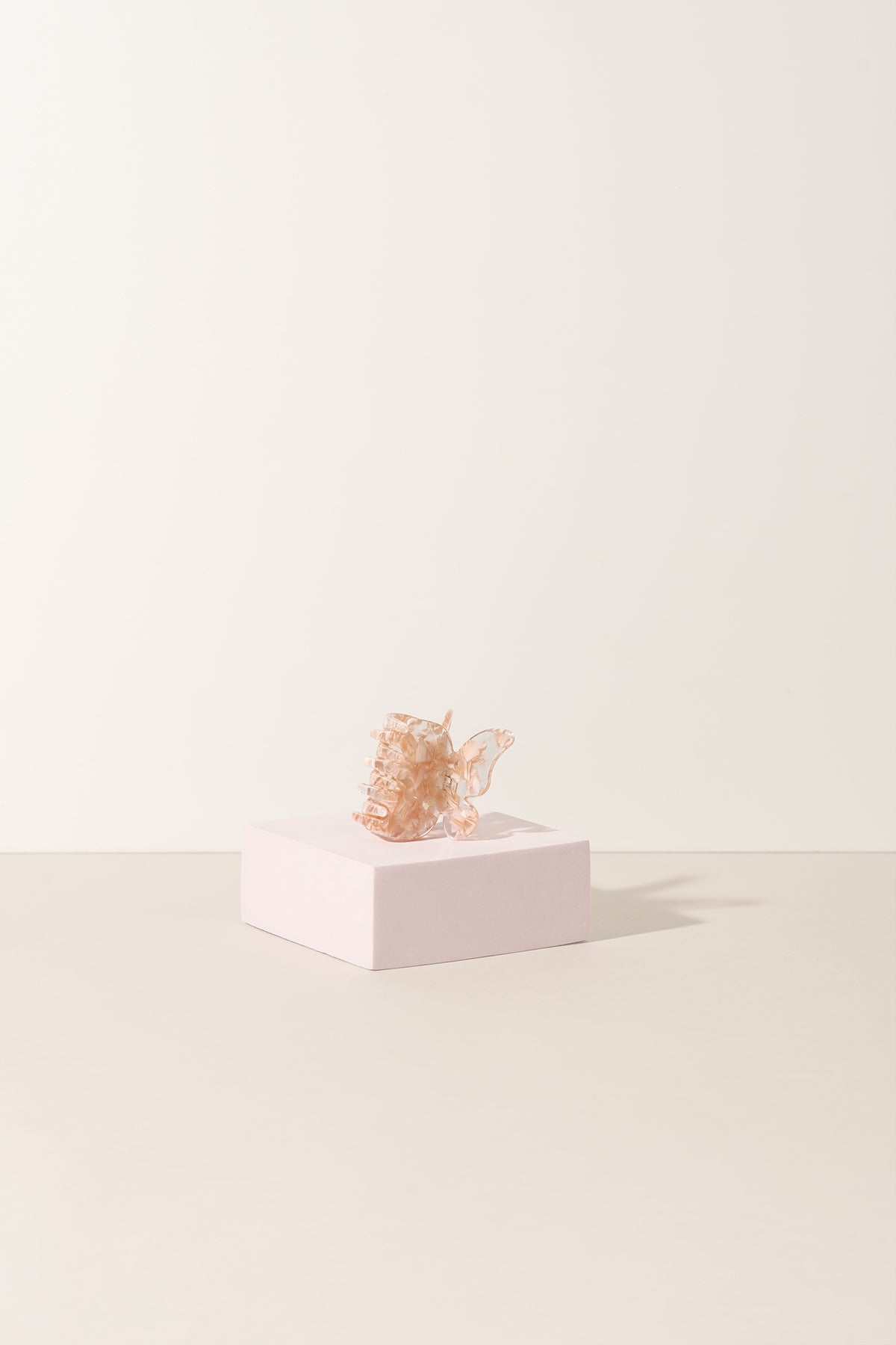 La collection de papillons