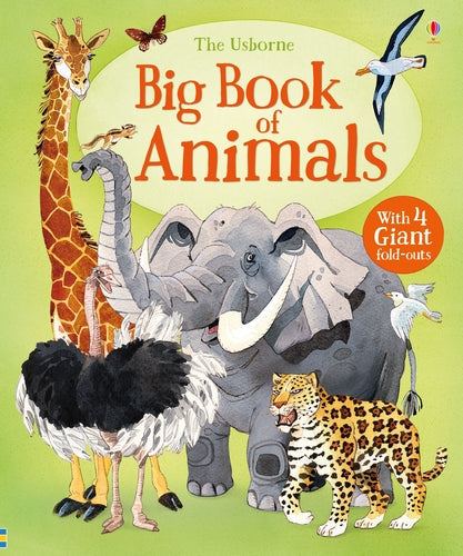Big Book of Animals — Livre sur les animaux