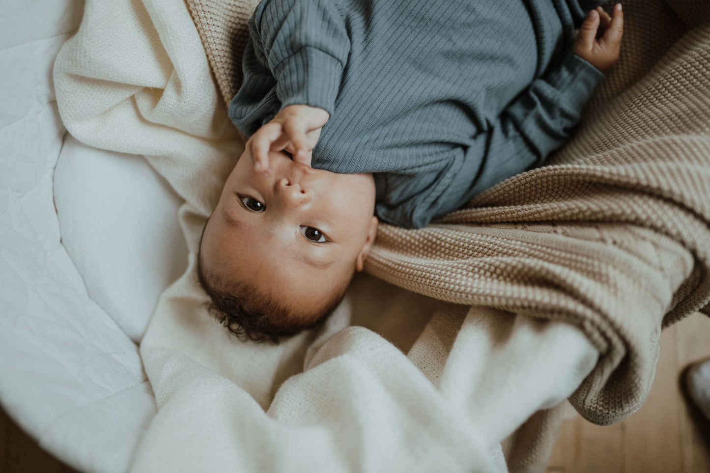 Ensemble deux pièces en coton biologique pour bébé, bleu foncé | ba.be.O Canada