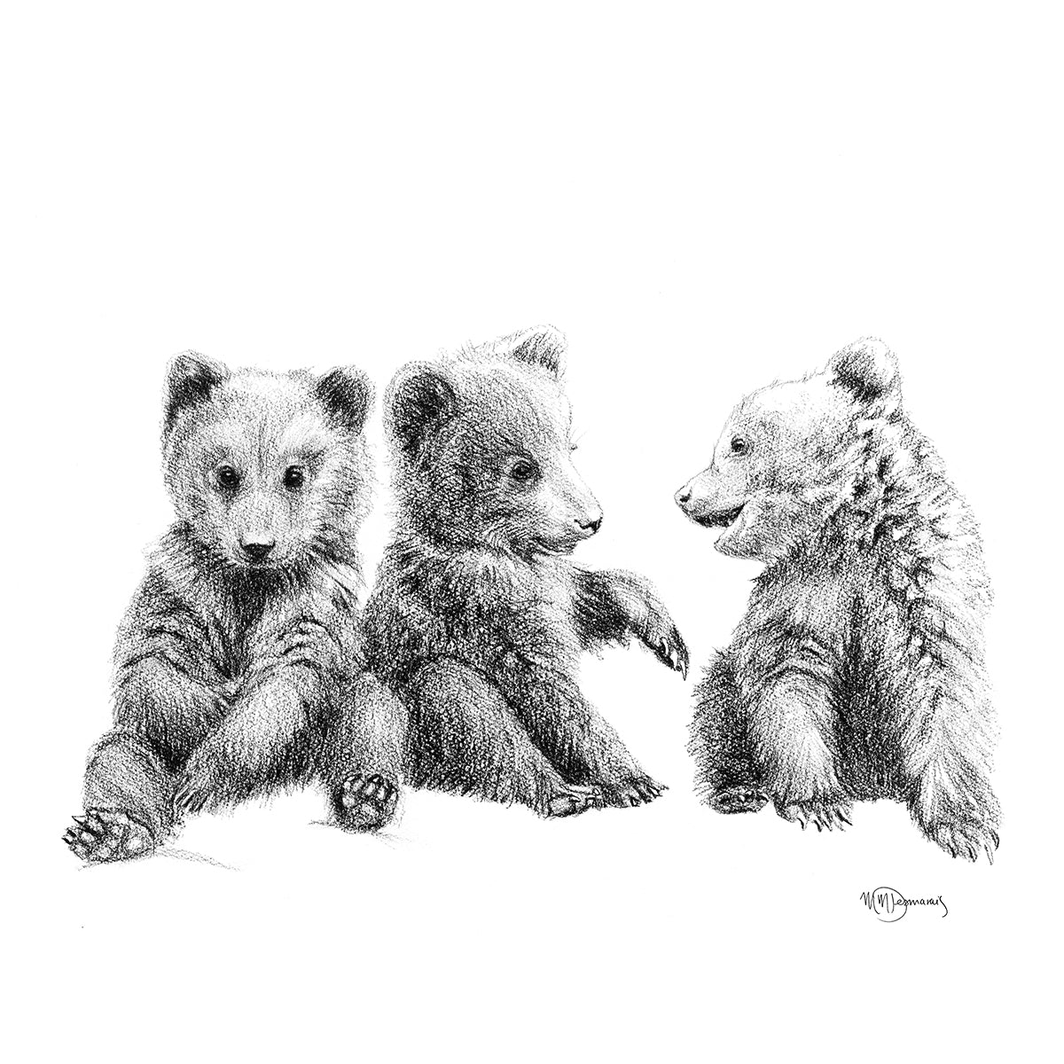 3 oursons - Illustration