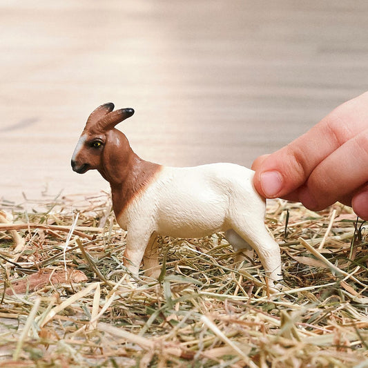 Chèvre Boer