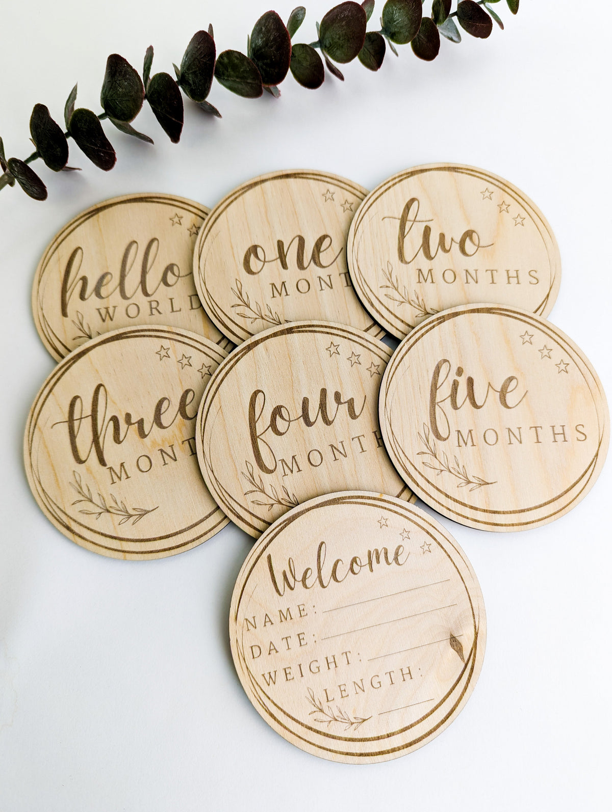 Baby Milestone Discs: Set 2