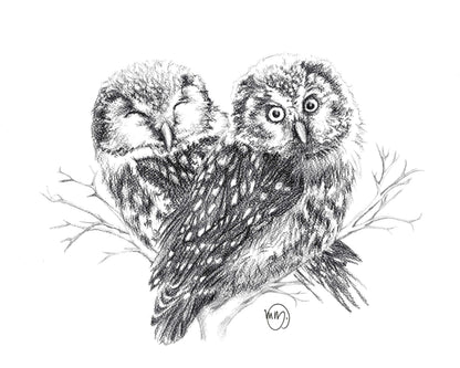 Owls in Love Greeting Card