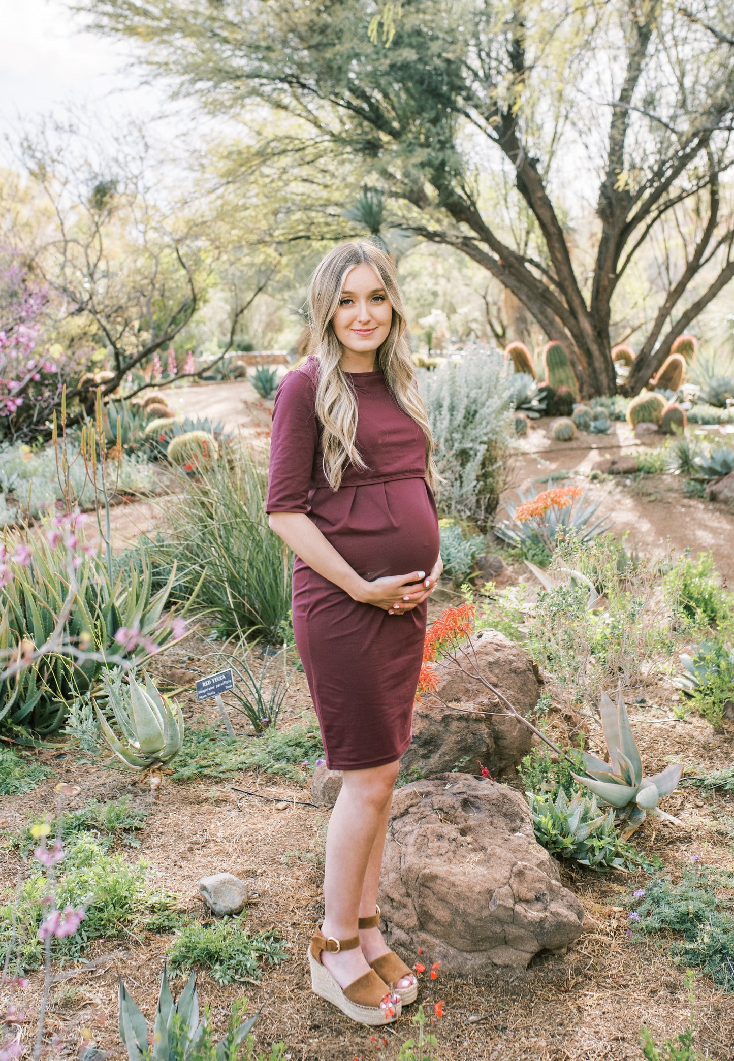 Jackie Maternity and Nursing Dress