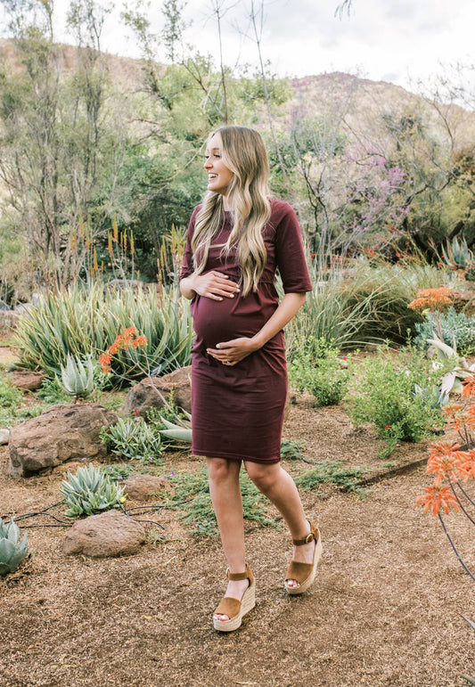 Jackie Maternity and Nursing Dress