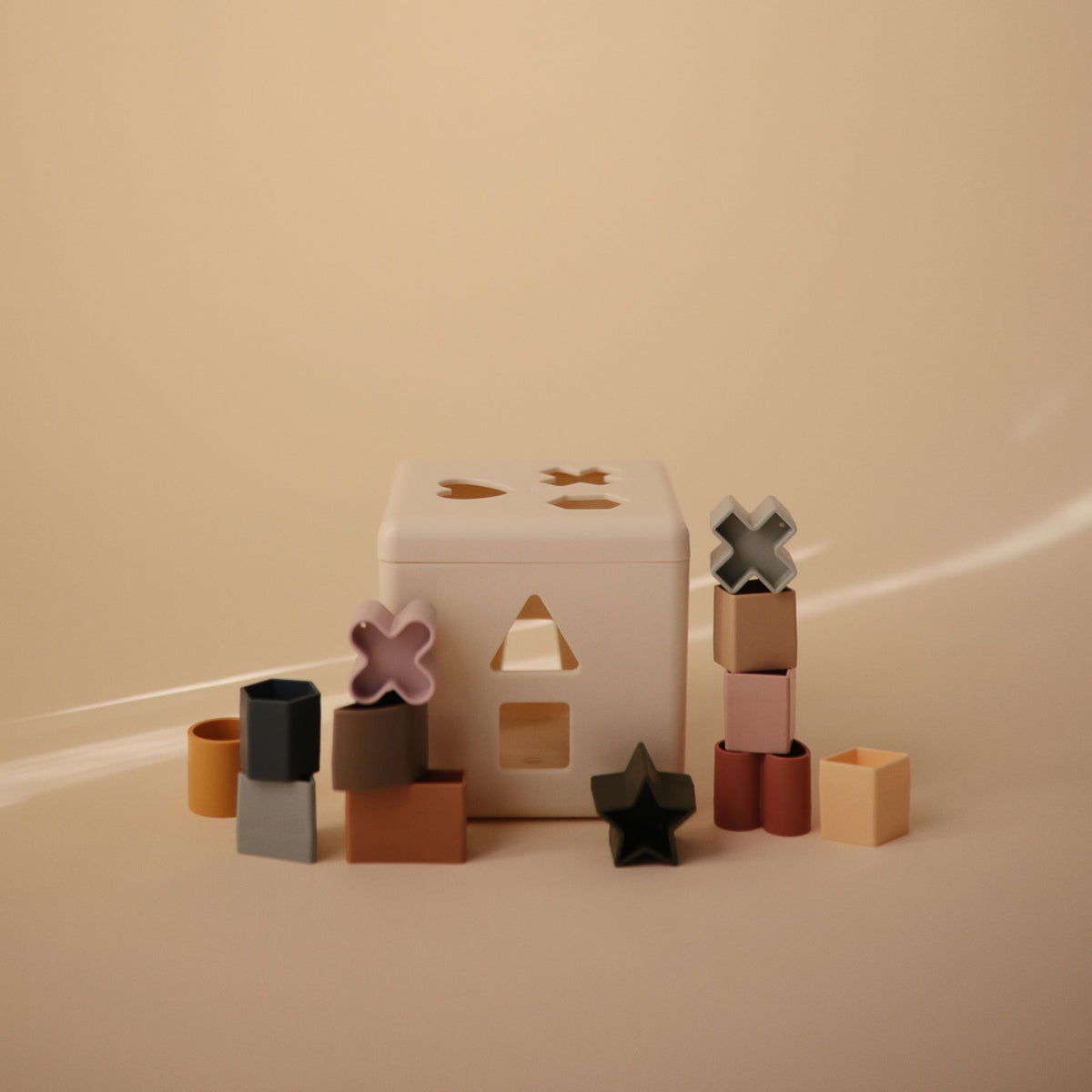 Shape Sorting Box
