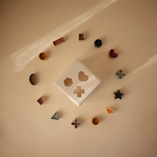 Boîte à formes avec 12 formes