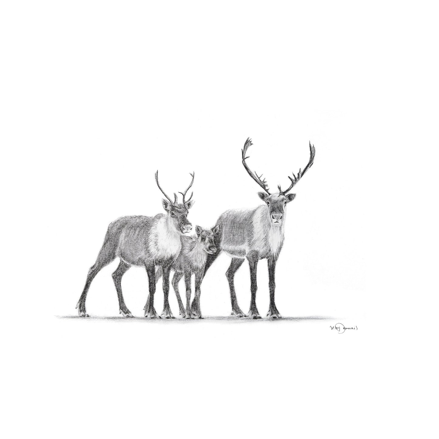 Carte de vœux Famille Caribou